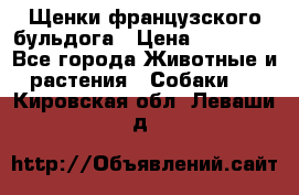 Щенки французского бульдога › Цена ­ 30 000 - Все города Животные и растения » Собаки   . Кировская обл.,Леваши д.